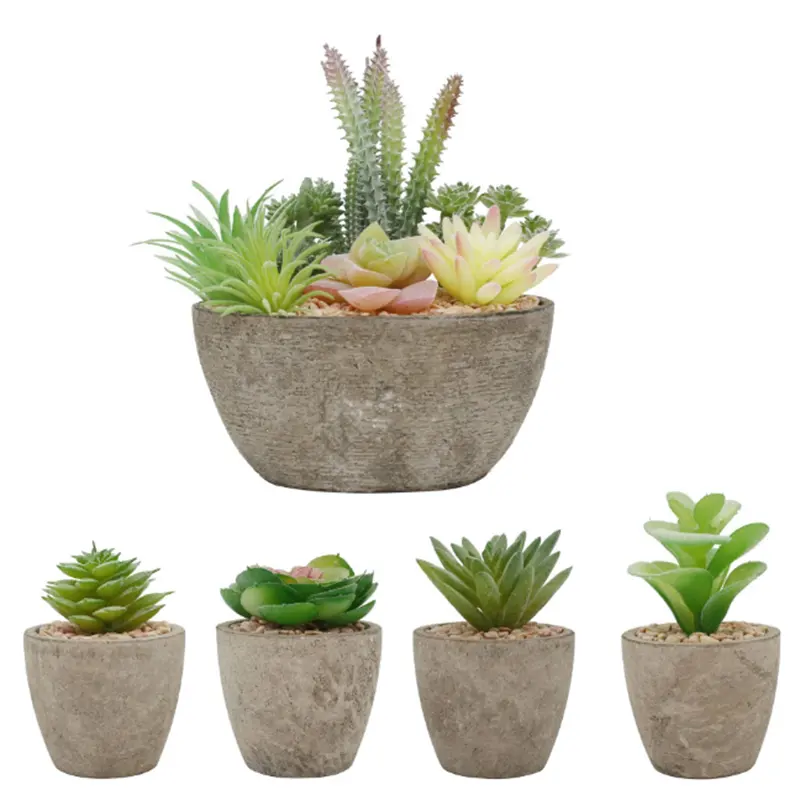 Livingroom Wholesale Succulent Plant Pot Gift for Indoor Home and Office Decoration