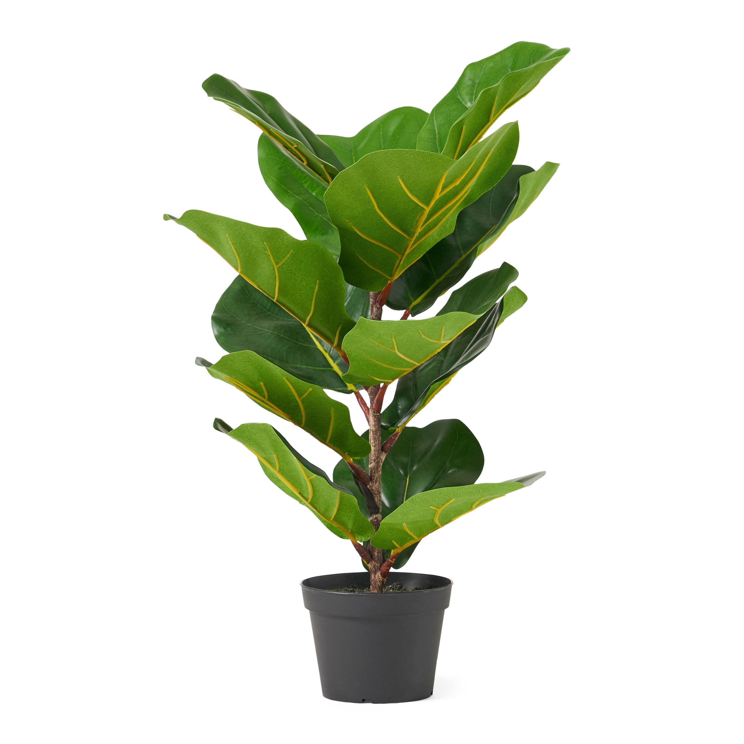 Stilwell Artificial Fiddle-Leaf Fig Tree