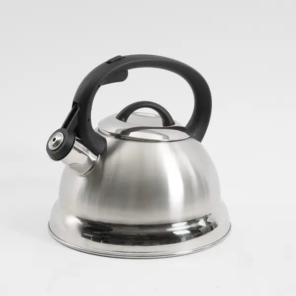 Mr. Coffee 2-Piece Flintshire 1.75 QT Whistling Tea Kettle