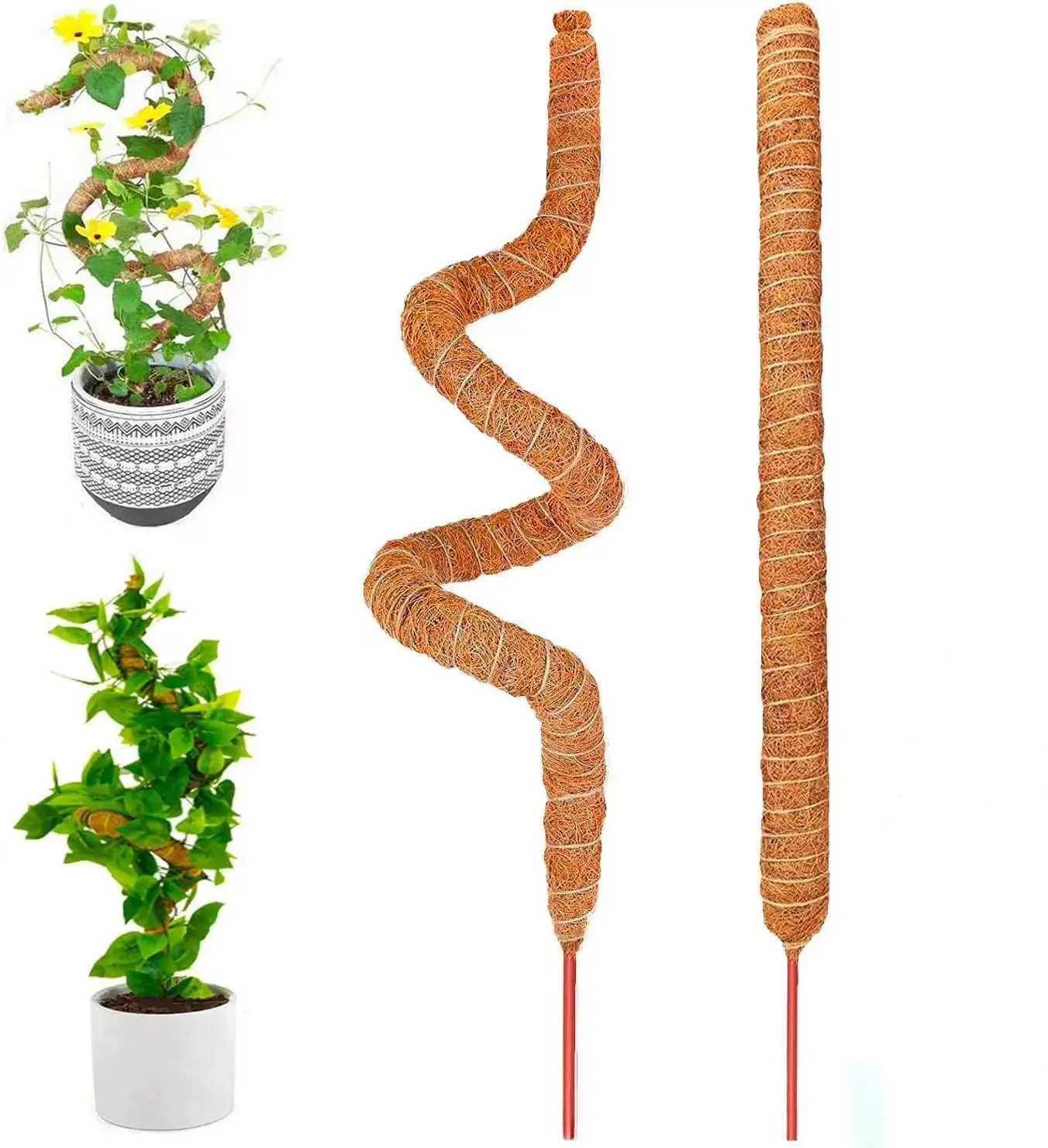 Most Popular In 2023  Factory Supply Stake Potted Starter Stir Fiber Climbing Support Gardening Plant Moss Poles