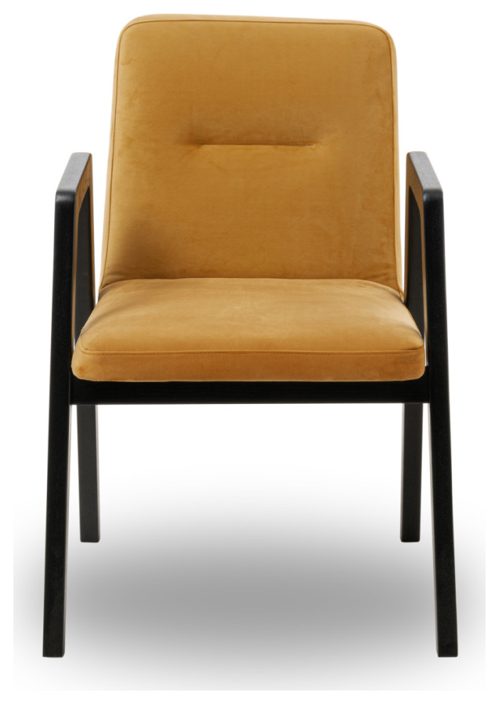 Brown Orange Velvet Dining Chair  Liang  ampEimil Benson   Midcentury   Dining Chairs   by Oroa   Distinctive Furniture  Houzz