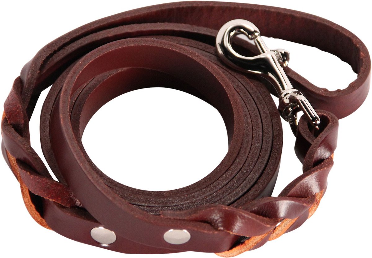 Logical Leather Braided Dog Leash， 6-ft