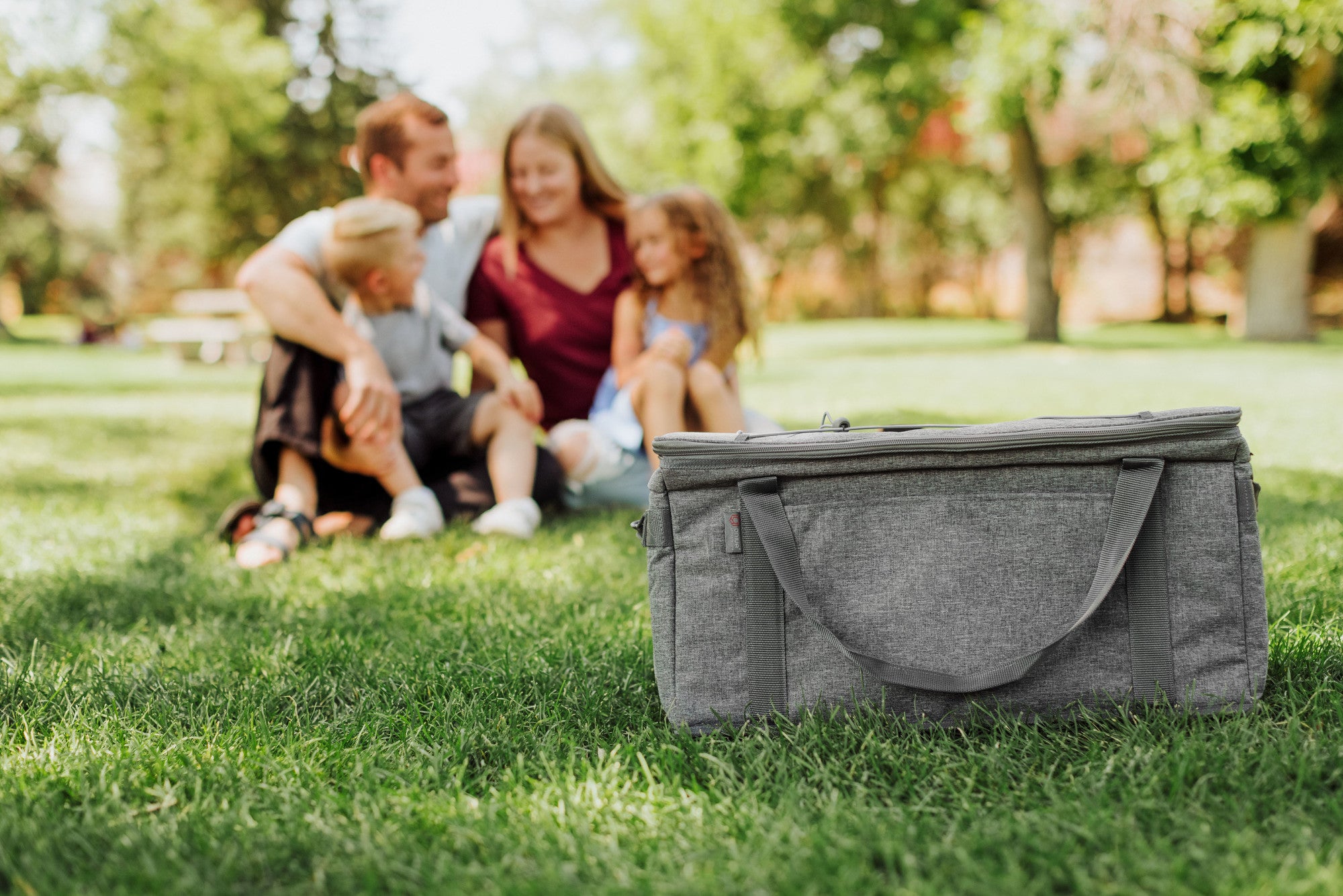 64 Can Collapsible Cooler