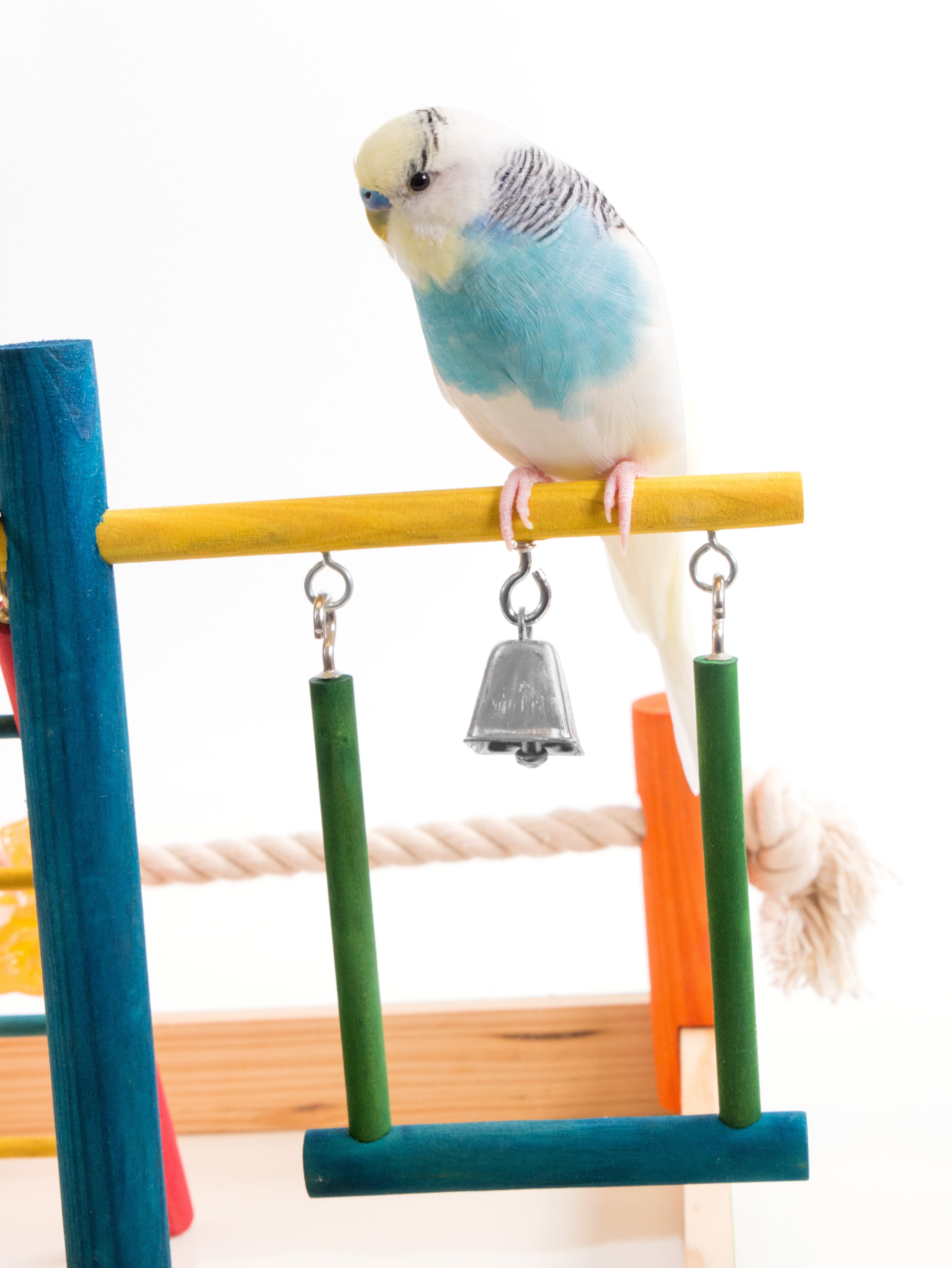 PENN-PLAX Bird Life Wooden Playpen – Perfect for Small Breeds - Keep Your Parakeets， Lovebirds， and Parrotlets Entertained and Stimulated – Small