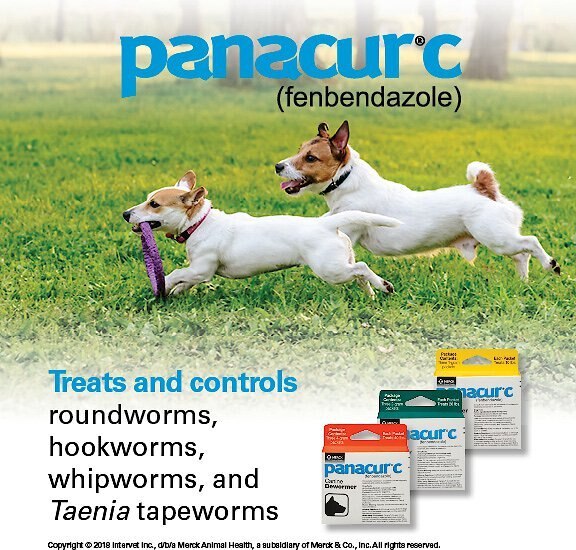 Panacur C Canine Dewormer， 1-g， 3 count