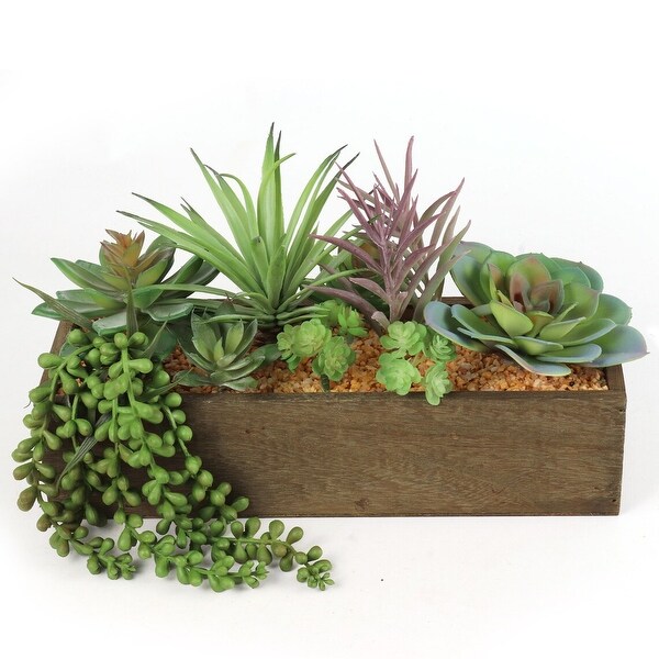 Boxed Artificial Succulent Arrangement x 6