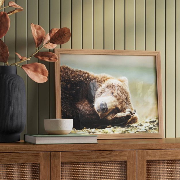 X 16 quot Bear Photography Framed Art Brown