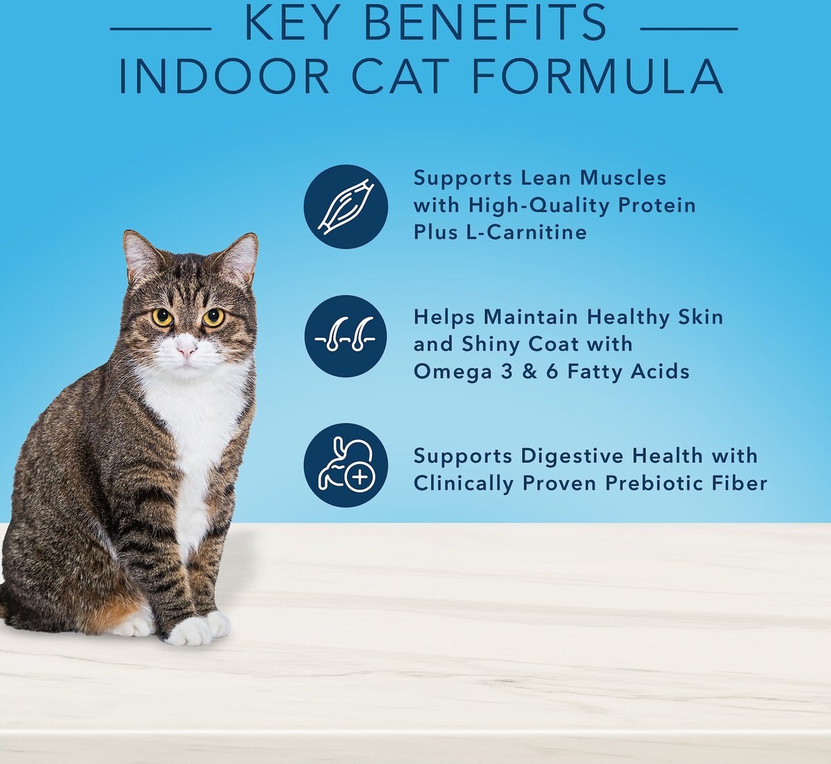 Blue Buffalo True Solutions Fab Feline Natural Indoor Cat Formula Adult Dry Cat Food