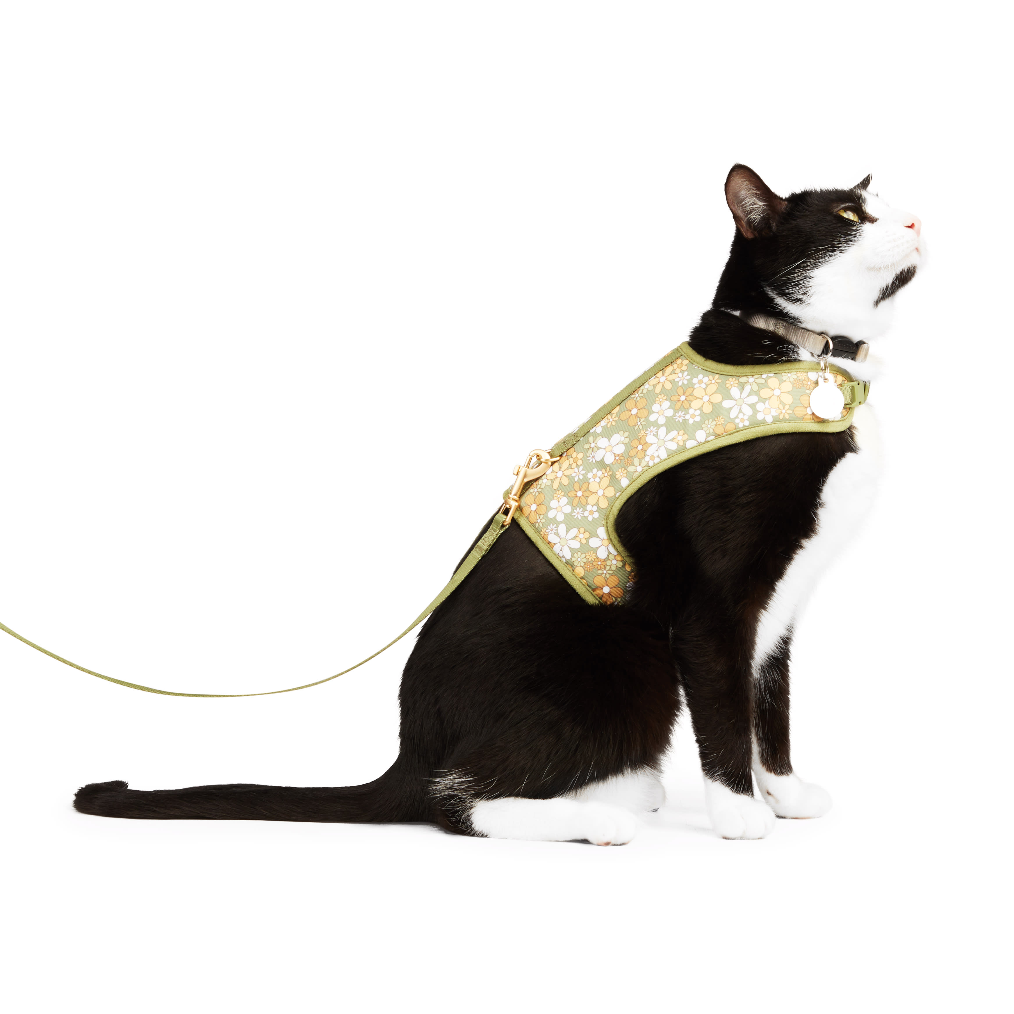 YOULY Retro Floral Cat Harness Set， Small/Medium