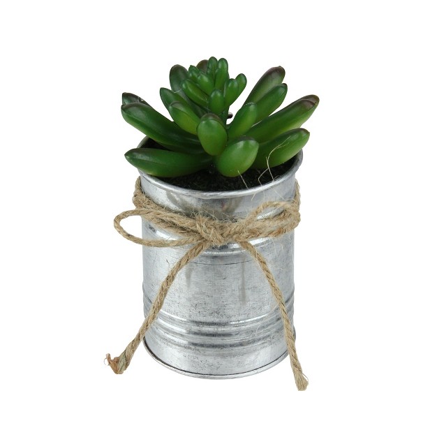 Pachyveria Succulent Artificial Potted Plant Green silver