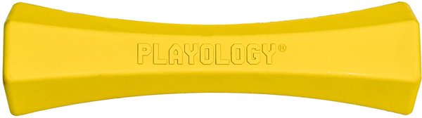 Playology Scented Squeaky Chew Stick Dog Toy