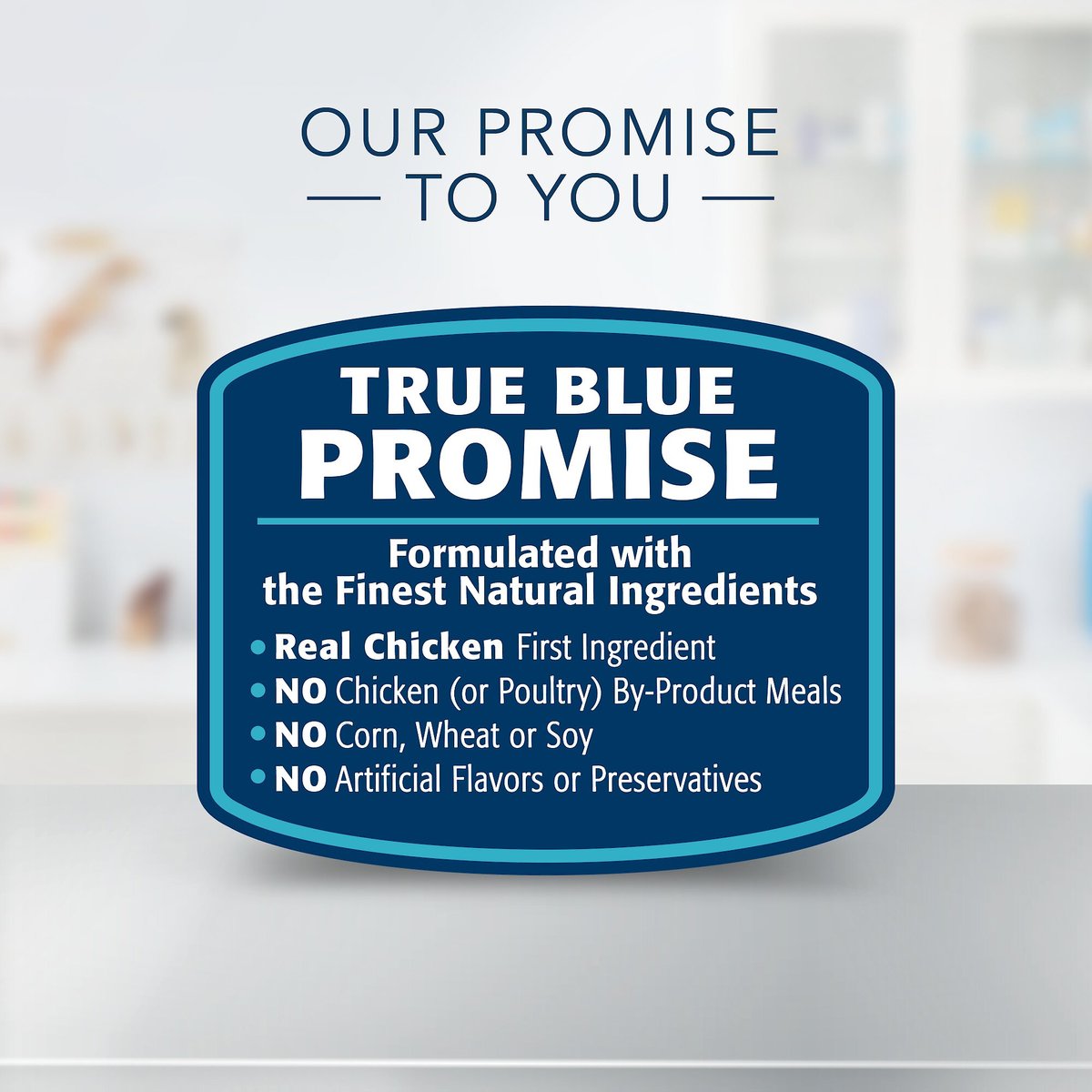 Blue Buffalo Natural Veterinary Diet W+U Weight Management + Urinary Care Chicken Wet Dog Food