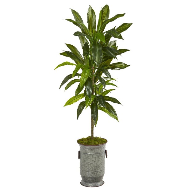 Nearly Natural 4-ft Dracaena Artificial Plant In Vintage Metal Planter (real Touch)