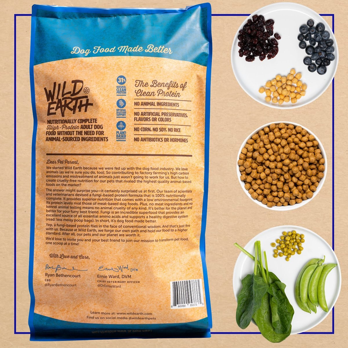 Wild Earth Healthy High-Protein Formula Dry Dog Food