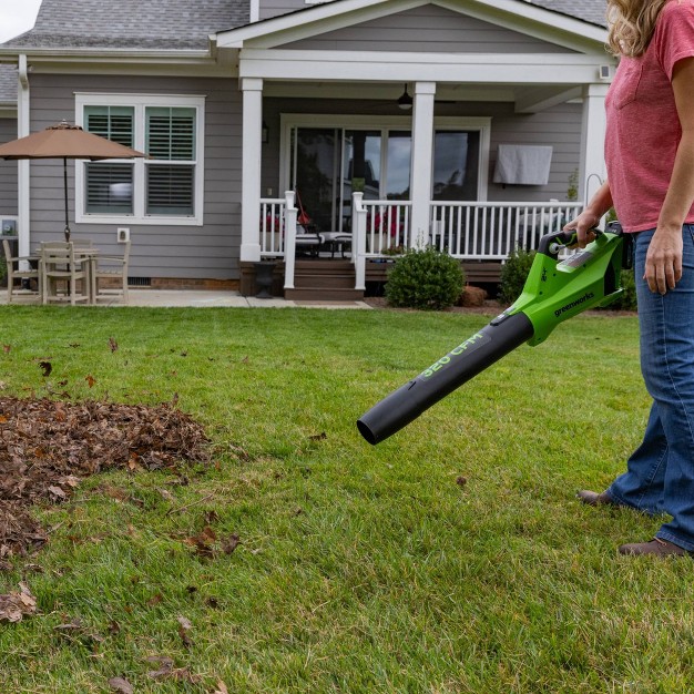 Greenworks Powerall 24v 2ah Cordless 320fm 90mph Axial Leaf Blower Kit With Battery And Charger Included