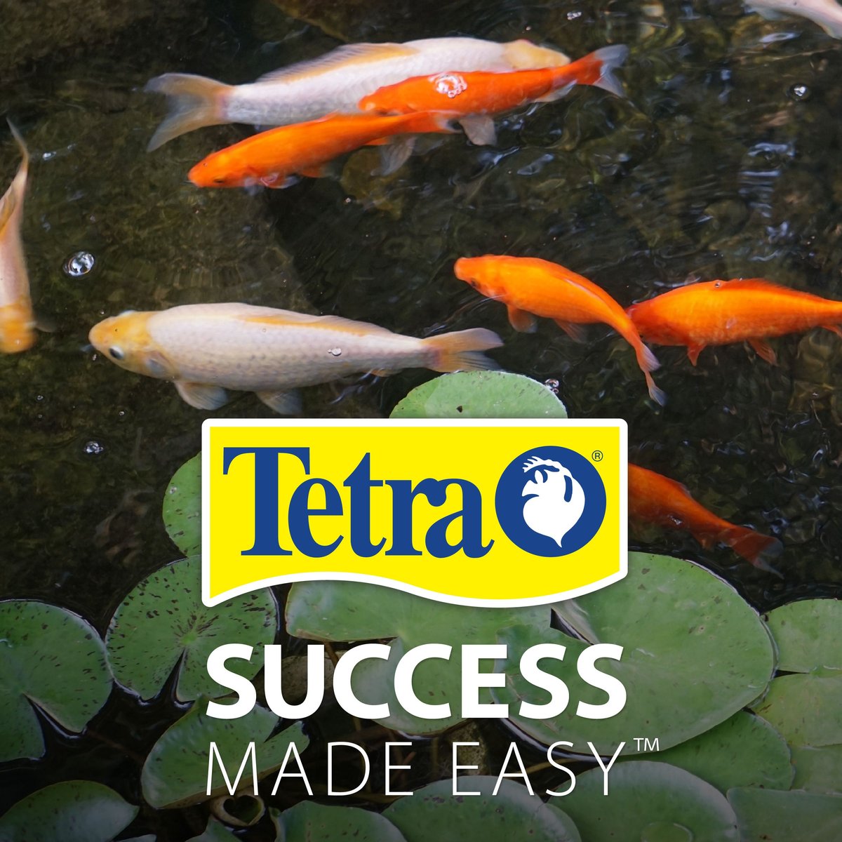 Tetra Pond Koi Growth High Protein Koi and Goldfish Food