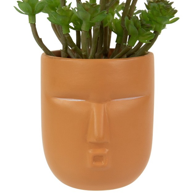 Mini Artificial Succulent In Face Planter Pot