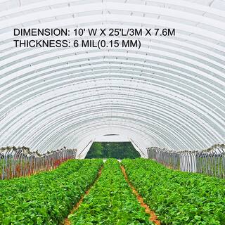 VEVOR 10 ft. x 25 ft. 6 Mil Greenhouse Film UV Resistant Superior Toughness Clear Polyethylene Film for Protective Barrier PEWSM1025FT000001V0