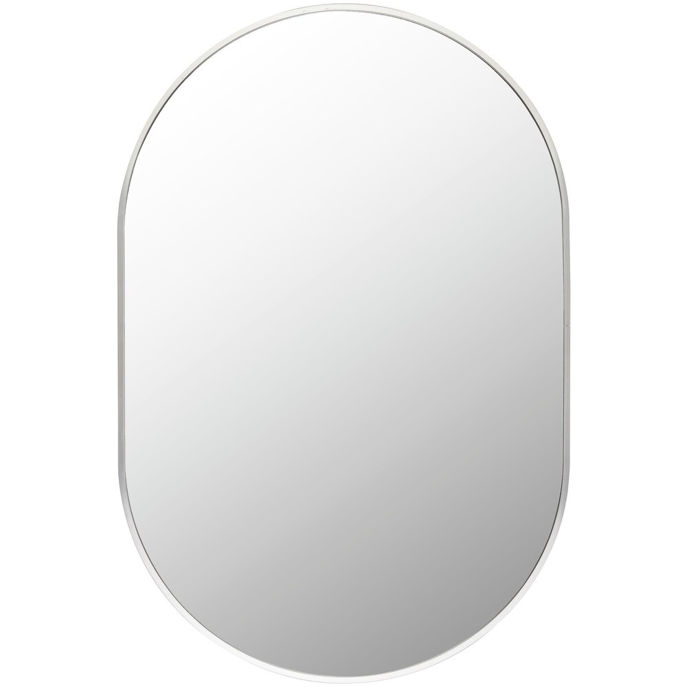 Artistic Weavers Aranya Modern Aluminum Oval Pill Shaped Accent Mirror