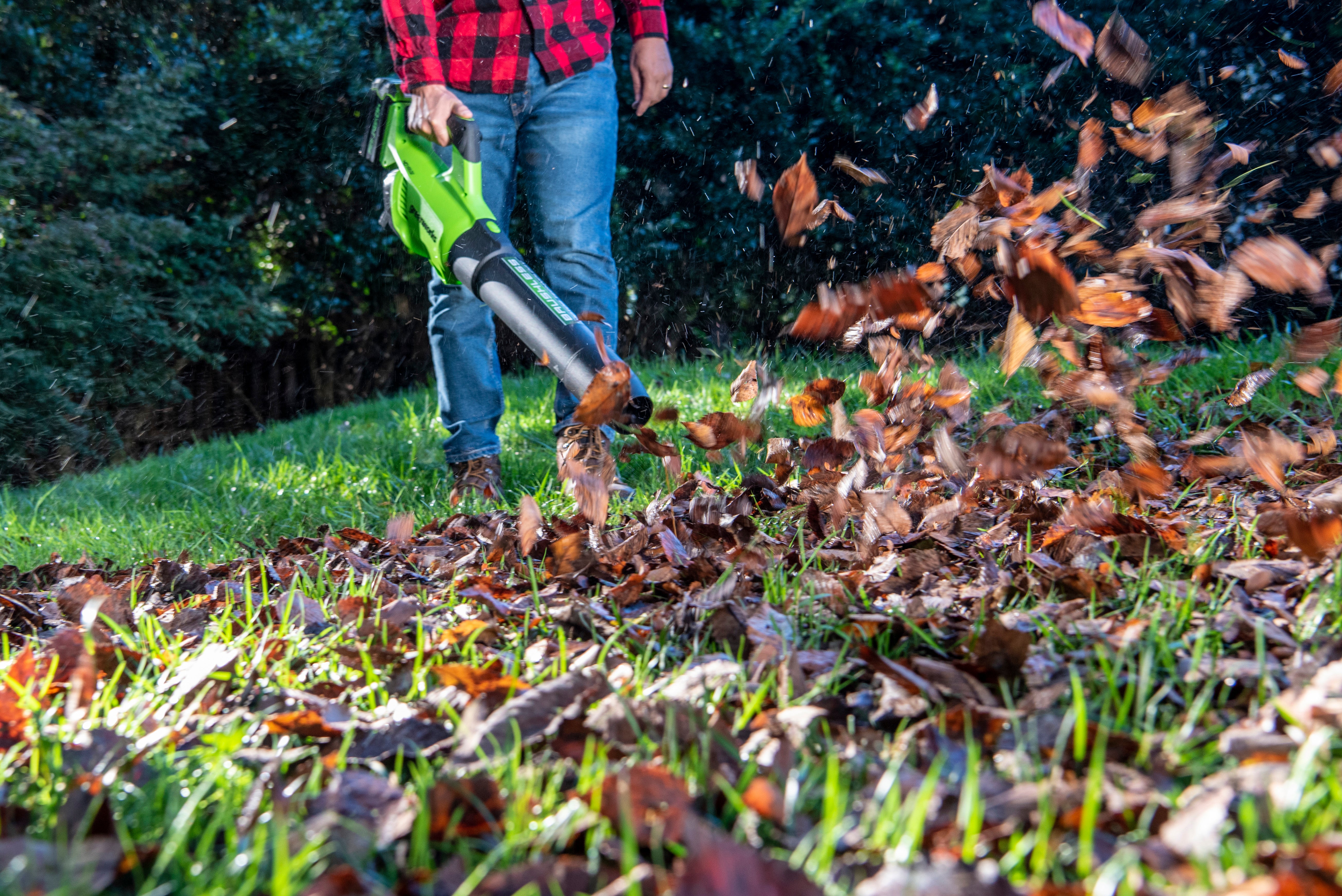 40V 550 CFM Brushless Leaf Blower  Battery | Greenworks Tools