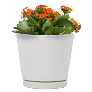 Vigoro 6 in. Piedmont Small White Ceramic Planter (6 in. D x 5.7 in. H) with Drainage Hole and Attached Saucer CR01721S-06W