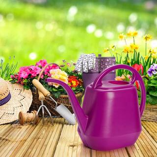 Cubilan 1 Gal. Purple Plastic Watering Can B08H59HSHZ