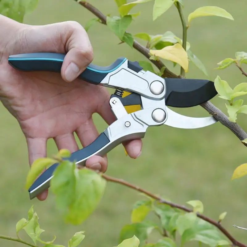 Odm Hand Pruners Titanium Garden Tools Heavy Duty Pruner Pruner