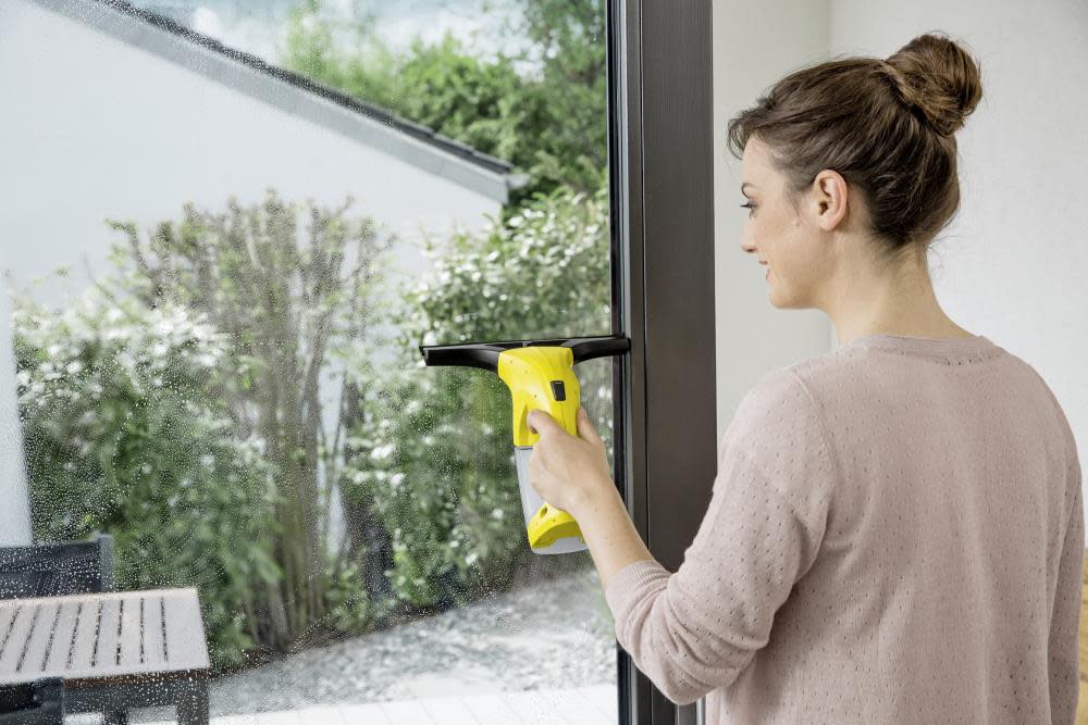 WV 1 Plus Window Vac ;