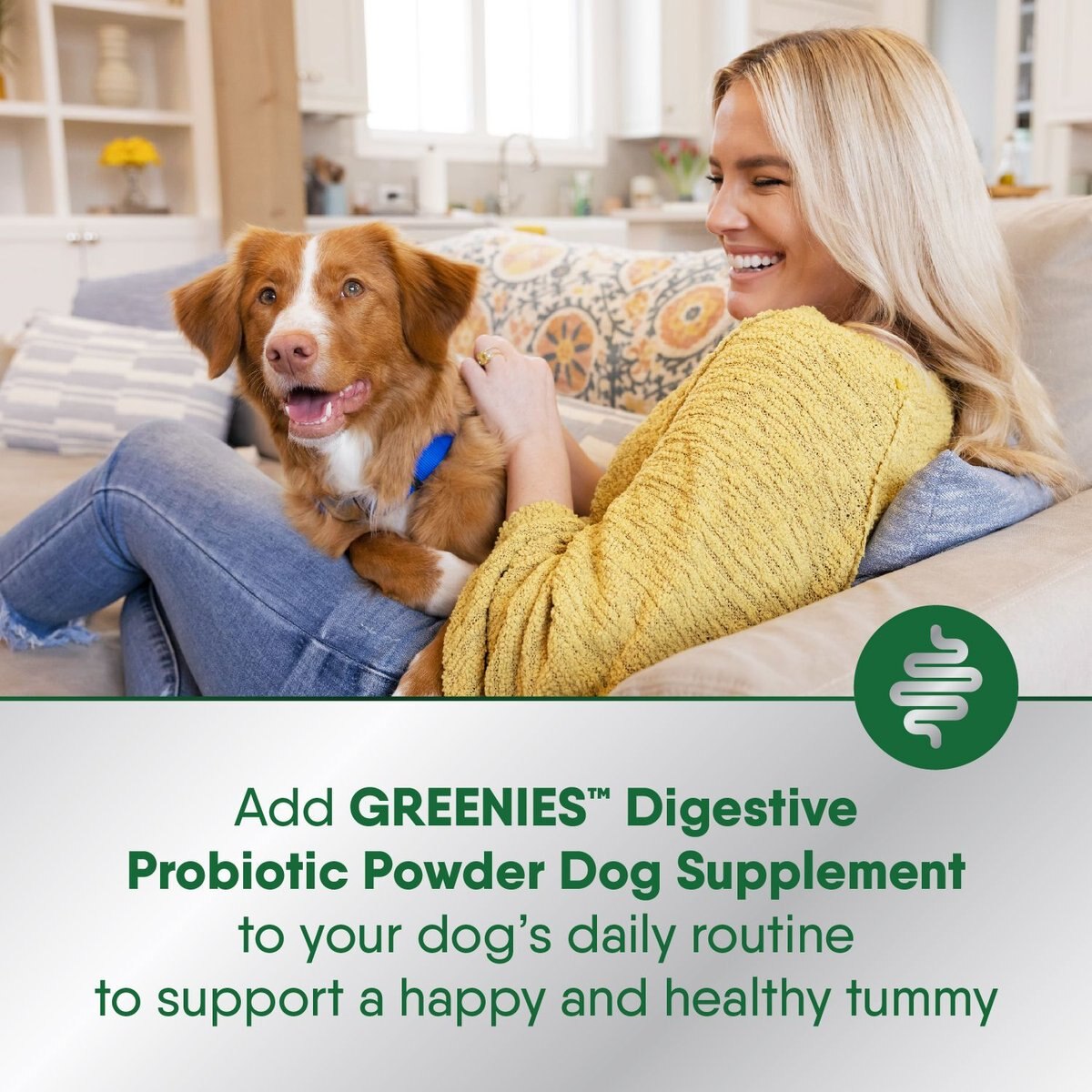 Greenies Digestive Probiotic Supplement Powder for Dogs