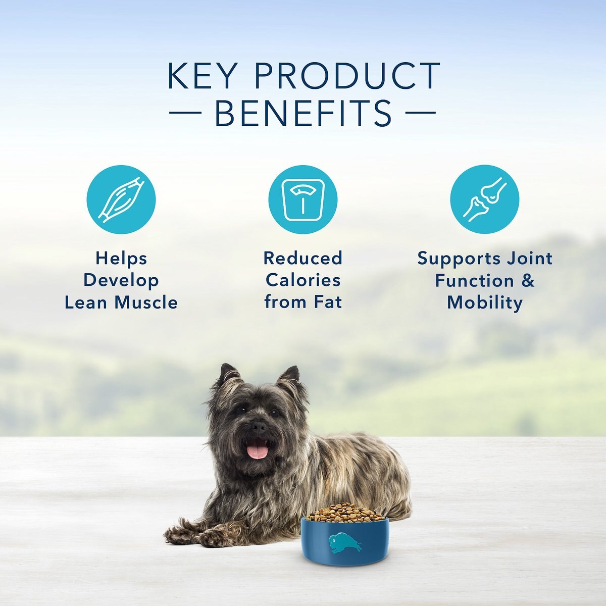 Blue Buffalo Life Protection Formula Small Breed Healthy Weight Adult Chicken and Brown Rice Recipe Dry Dog Food