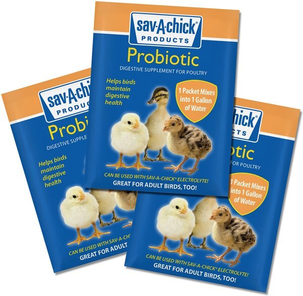 Sav-A-Caf Sav-A-Chick Probiotic Digestive Support Poultry Supplement， 0.17-oz packet， 3 count