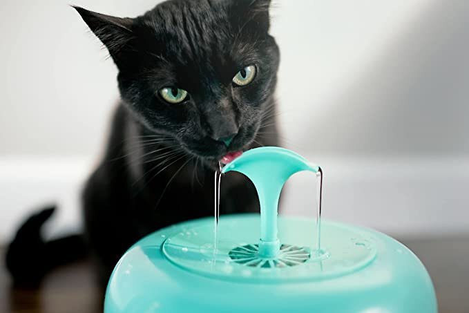 IntelliLeash Purrfect Water Fountain Dog and Cat Waterer