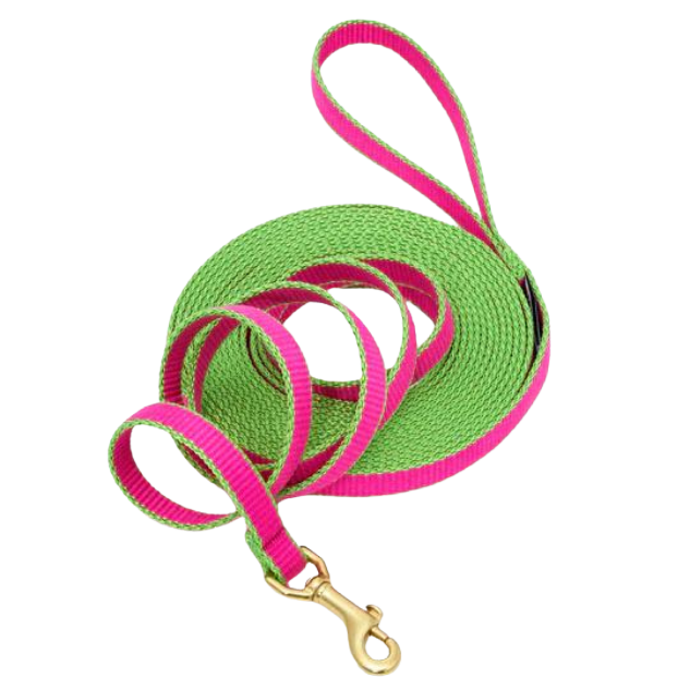 Training Leash | Bright Pink & Lime