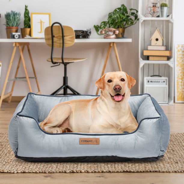 Vibrant Life Large Faux Velvet Box Dog Bed， Gray