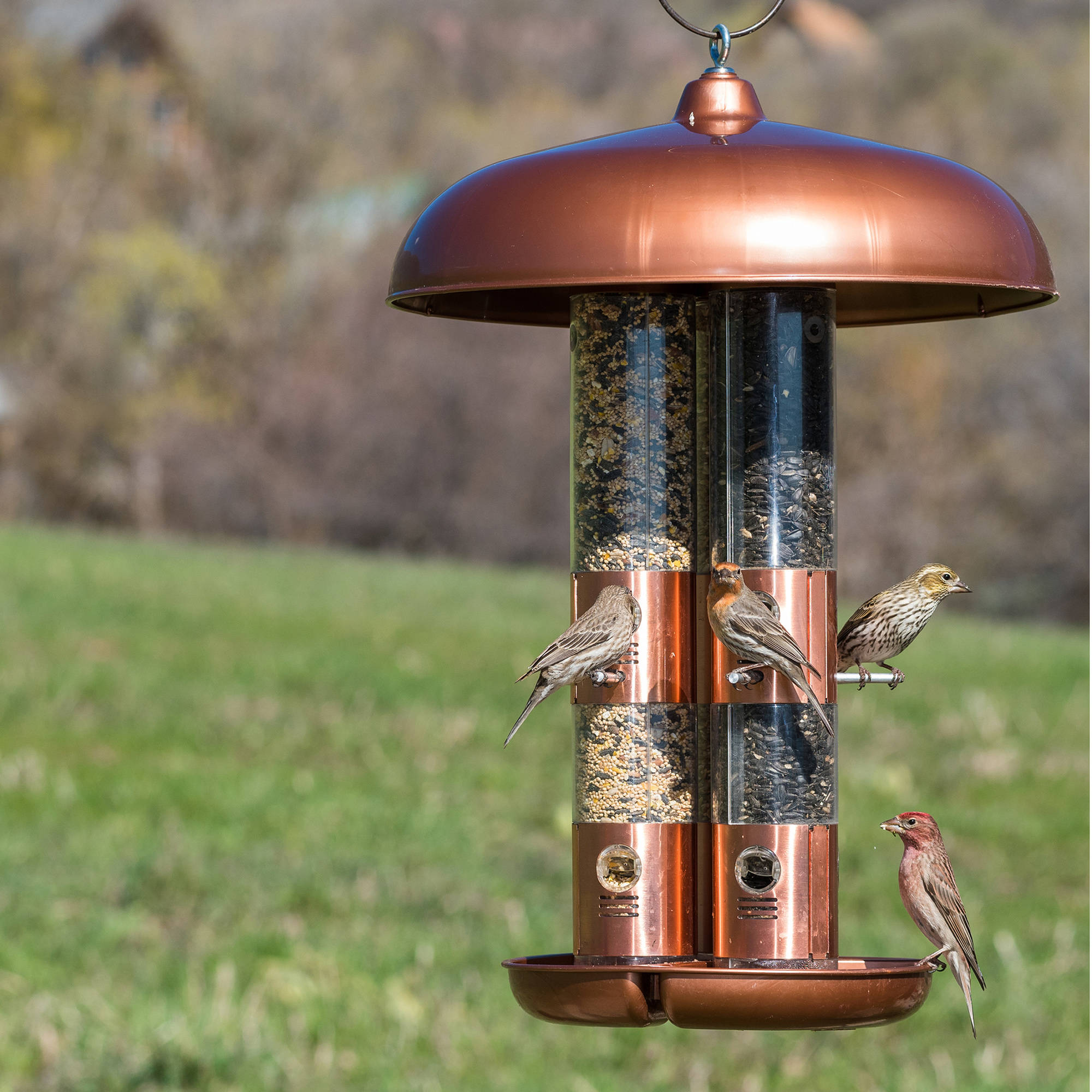 Perky-Pet 10 lb Copper Finish Triple Tube Bird Feeder