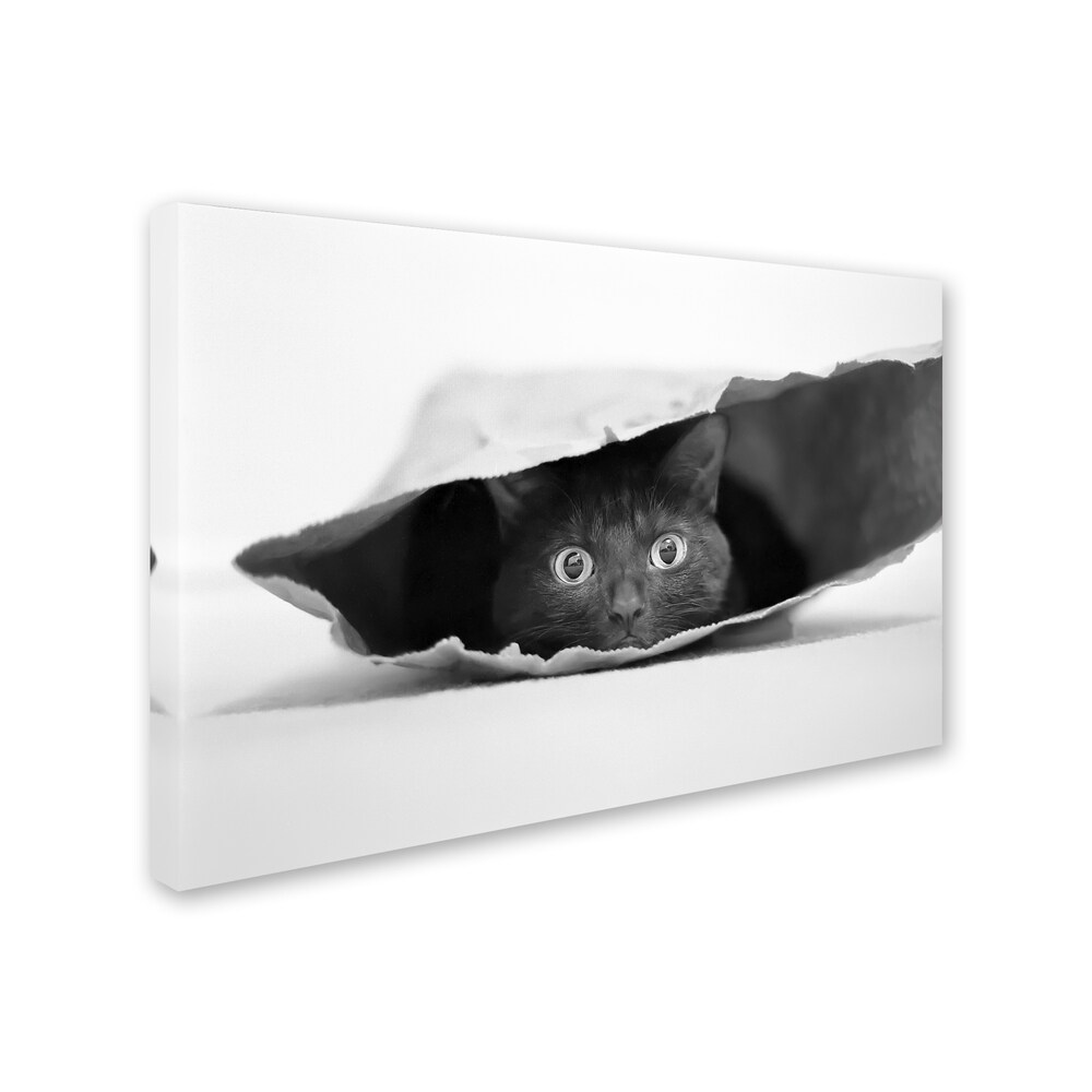 Jeremy Holthuysen 'Cat in A Bag' Canvas Art