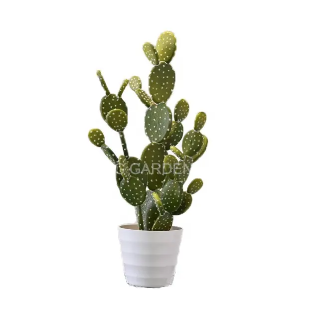 Garden supplies decoration home office artificial cactus plant Plastic saguaro succulent cactus plant artificial cactus plant