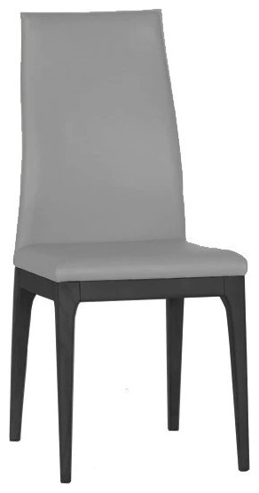 Ventura Dining Chair  Gray Soft Matt Polyurethane Cover   Transitional   Dining Chairs   by V.S.D Furniture  Houzz