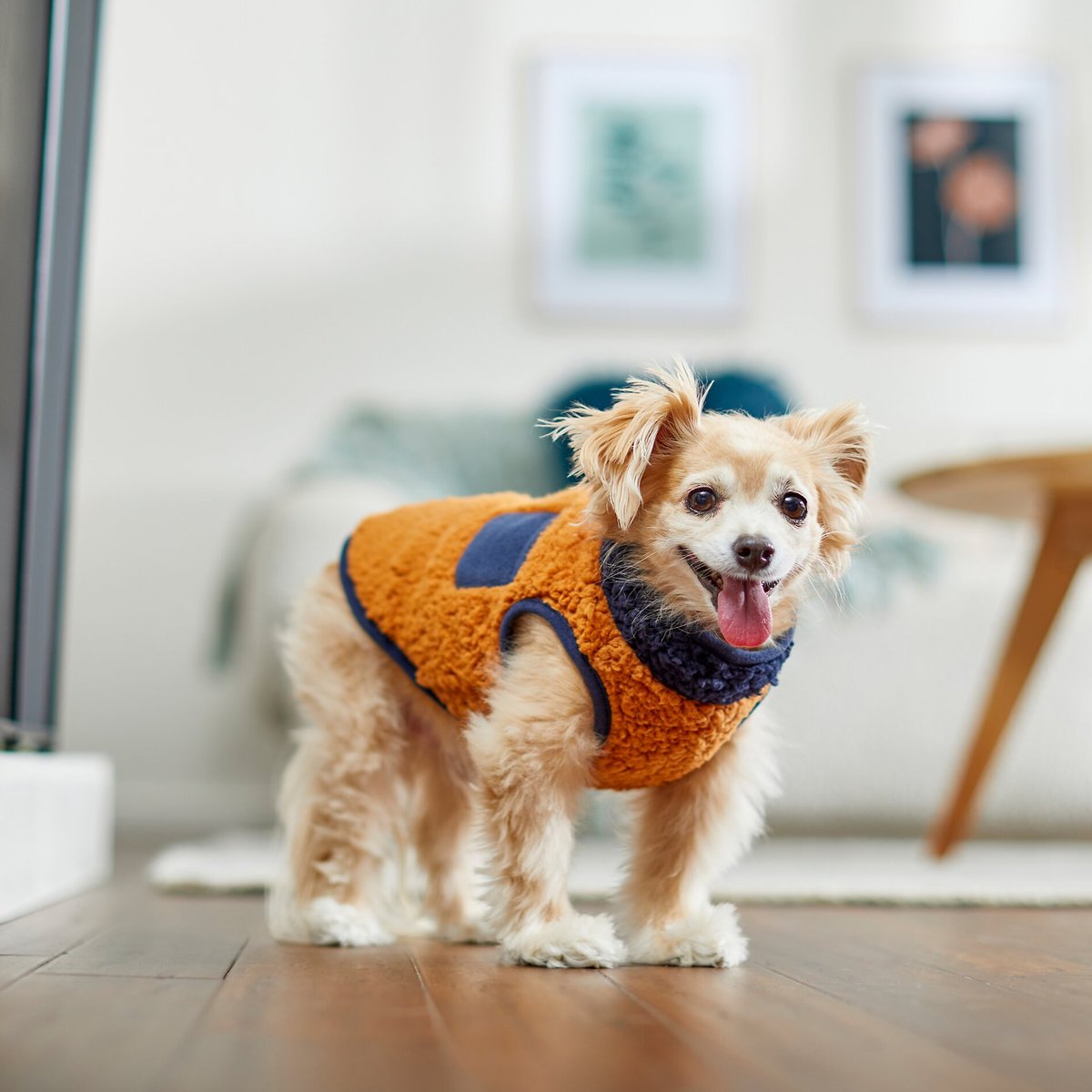 Frisco Lightweight Colorblock Dog and Cat Zippered Sherpa Fleece Vest， Blue/Brown