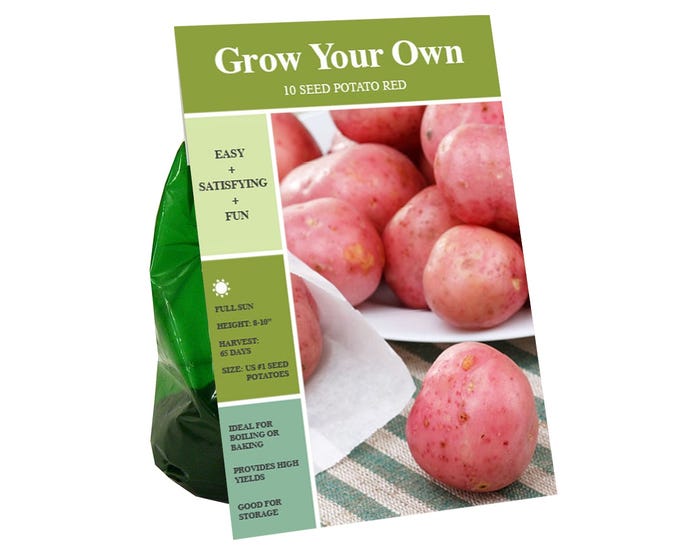 Van Zyverden Inc. Seed Potato - Red 00972