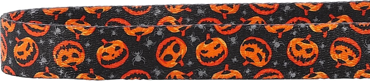 Frisco Spooky Pumpkin Dog Collar