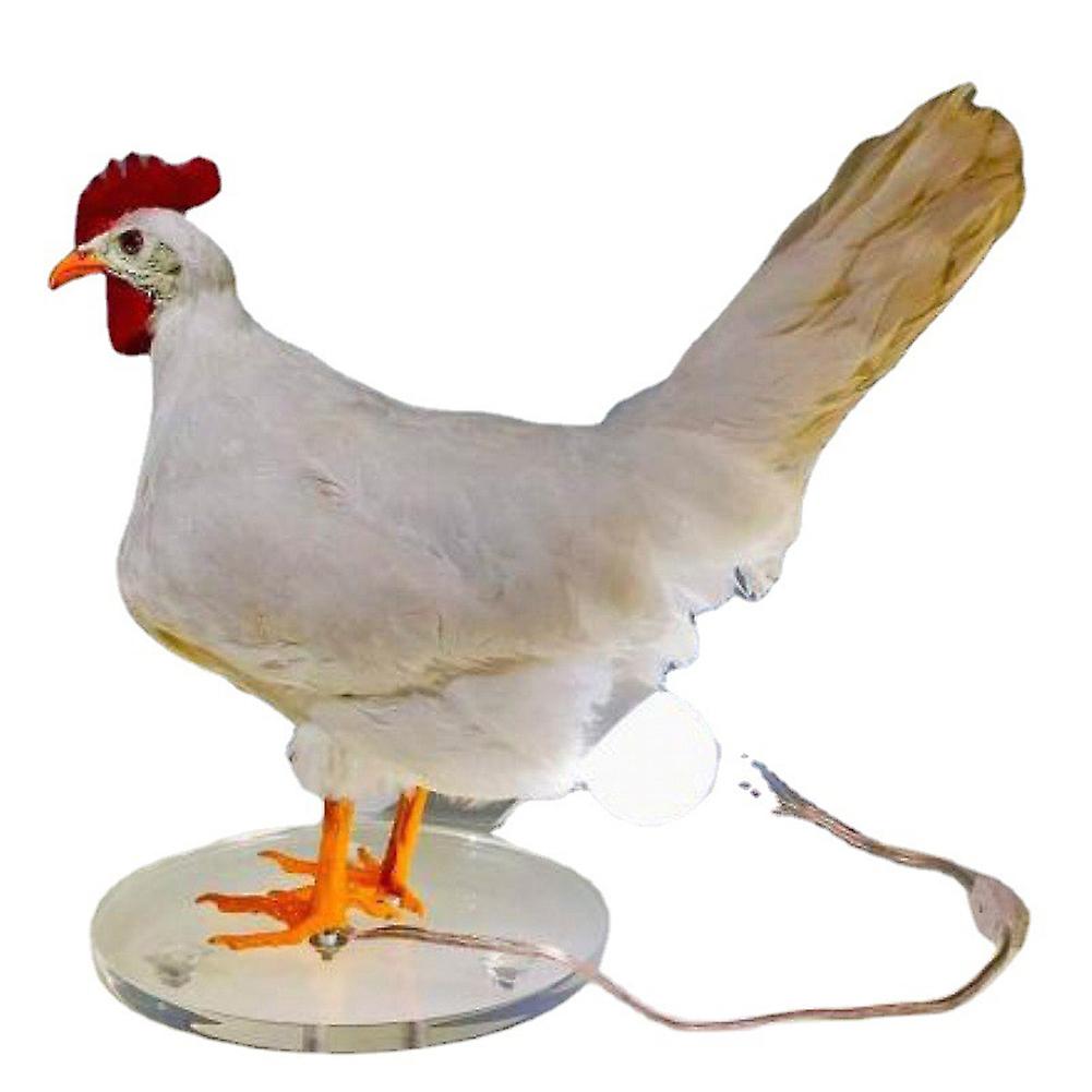 Household Easter Home Decor Simulated Animal Chicken Eggs Lamp Taxider