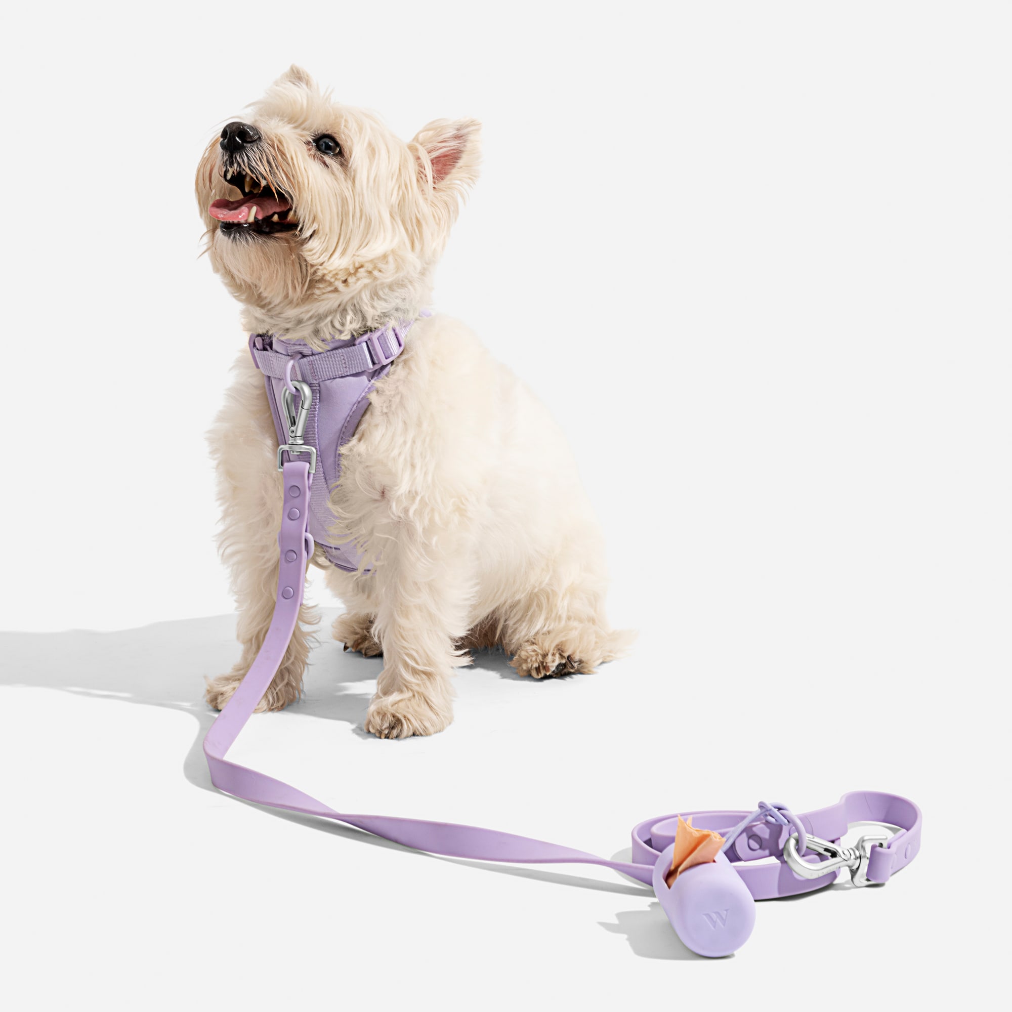 WILD ONE Lilac Dog Harness， Medium