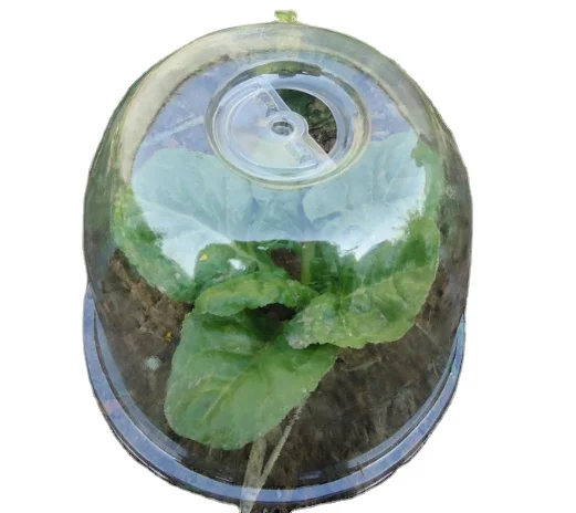 Factory supply high quality garden plastic bell cloche