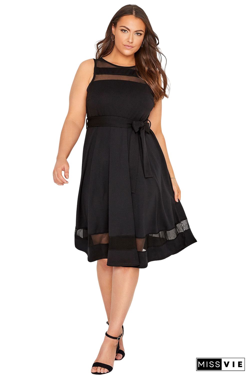 Black Plus Size Mesh Panel Skater Dress