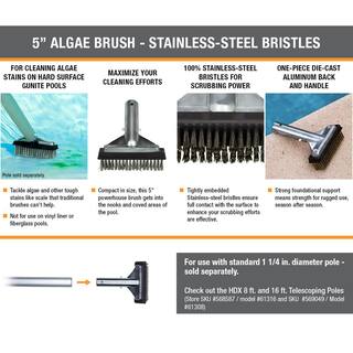 HDX 5 in. Stainless Steel Bristle Swimming Pool Brush for Algae Removal 60278