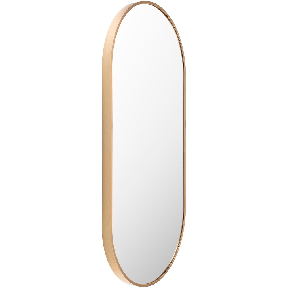 Artistic Weavers Aranya Modern Aluminum Oval Pill Shaped Accent Mirror