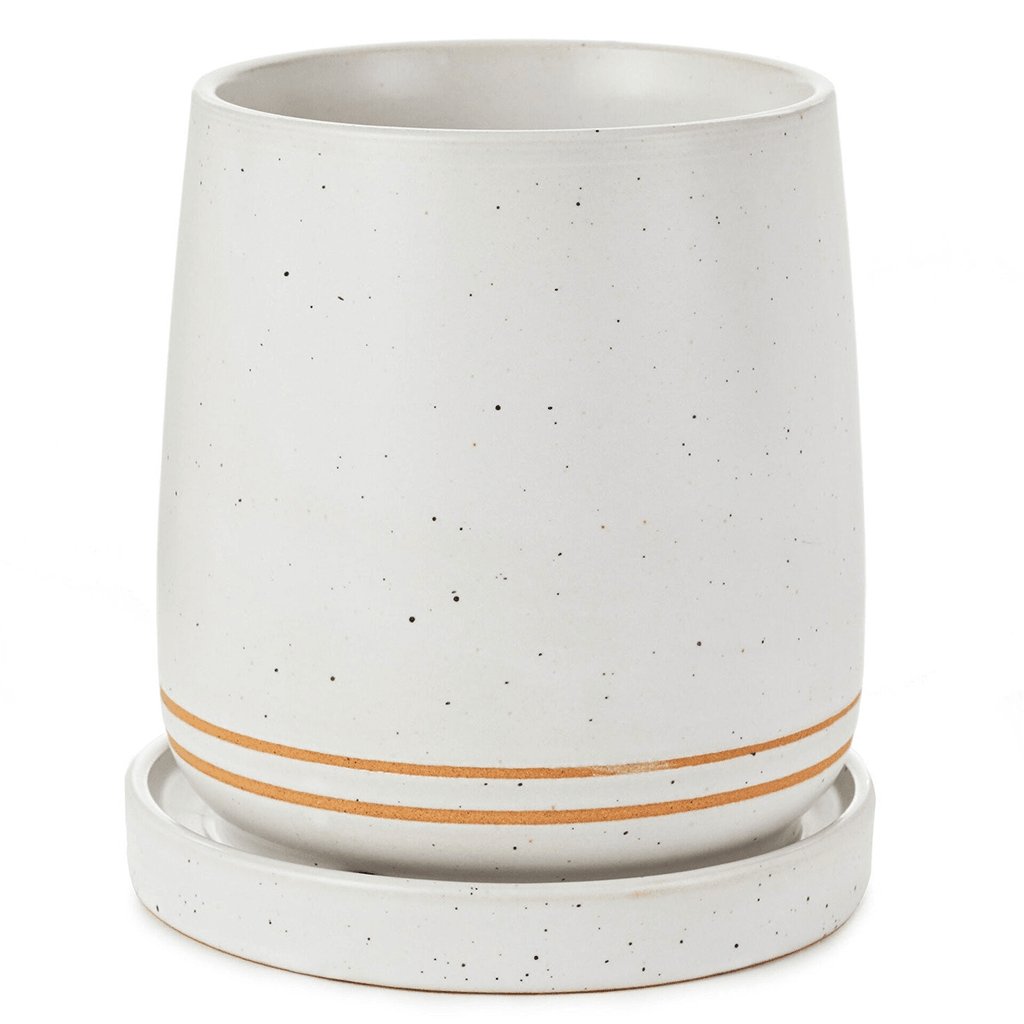 Hallmark  XOXO Ceramic Planter