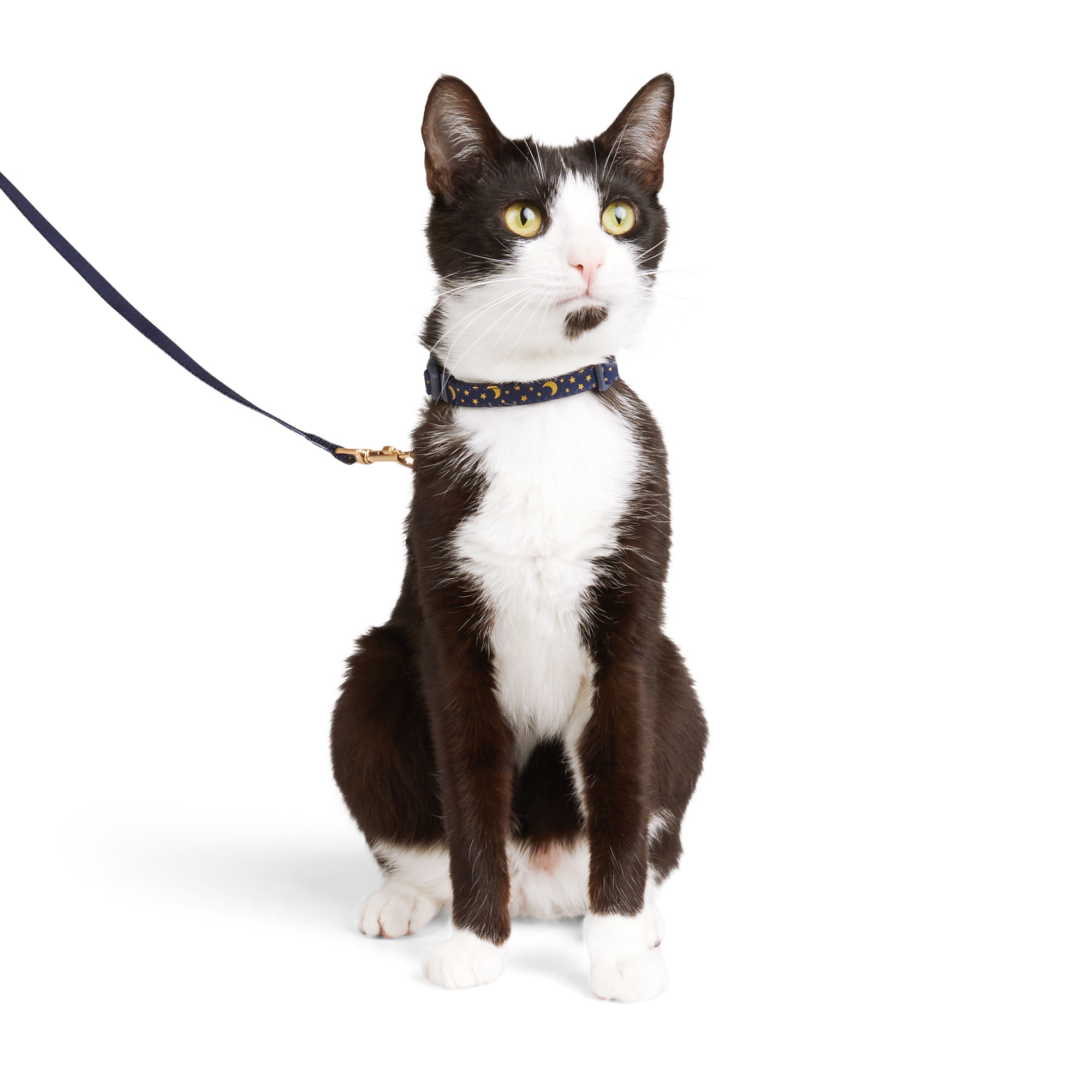 YOULY Moon  Star Cat Harness  Leash Kit