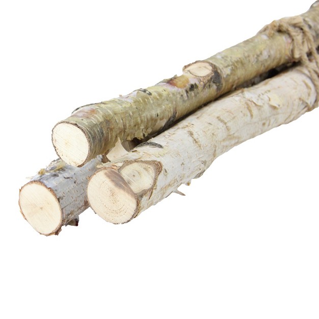 Birch Wood Branch Bundle Christmas Display